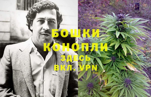 шишки Абаза