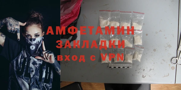 шишки Абаза
