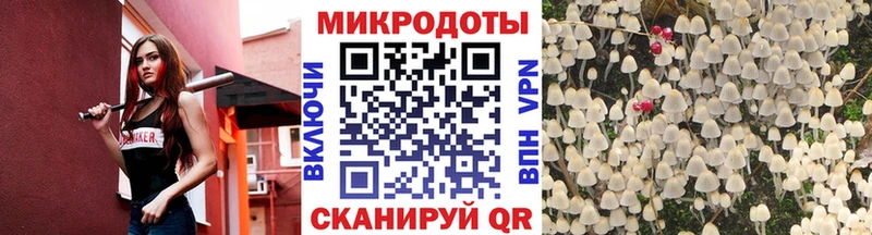 Псилоцибиновые грибы ЛСД  наркошоп  Канаш 